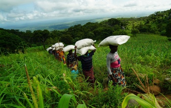 Women in Malaiw carrying Marys Meals