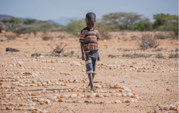A small boy walks over stones on dry land in Kenya