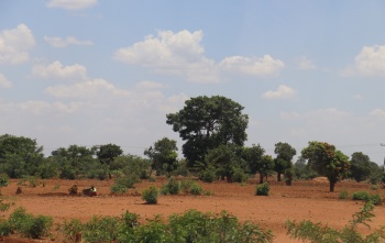 Drought in Zambia