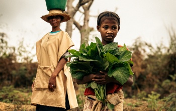 A school pupil in Madagascar carries leaves in the school garden