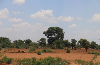 Drought in Zambia