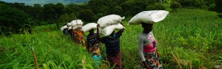 Women in Malaiw carrying Marys Meals