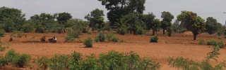 Drought in Zambia
