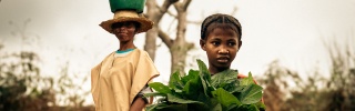 A school pupil in Madagascar carries leaves in the school garden