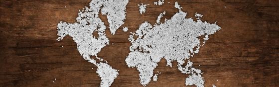 World map