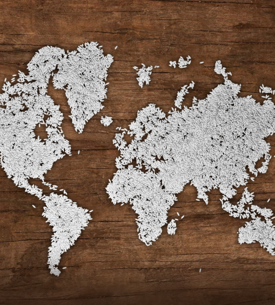 World map