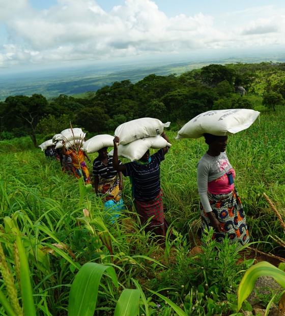 Women in Malaiw carrying Marys Meals