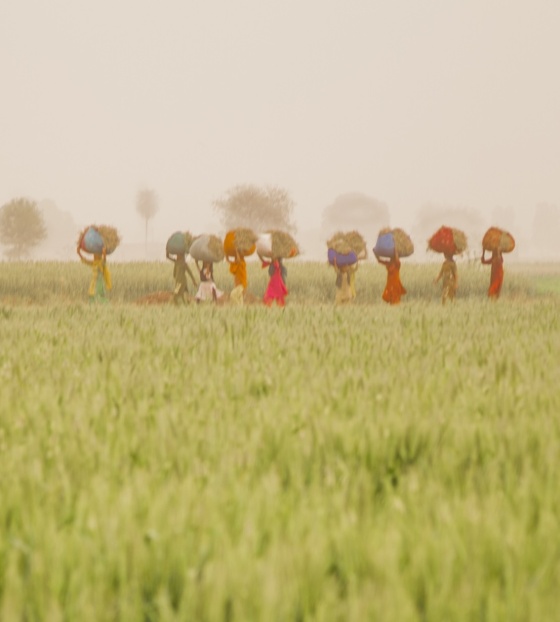 Landscape image of Malawi 