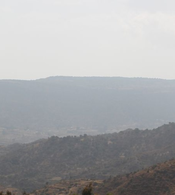 The crisis in Tigray