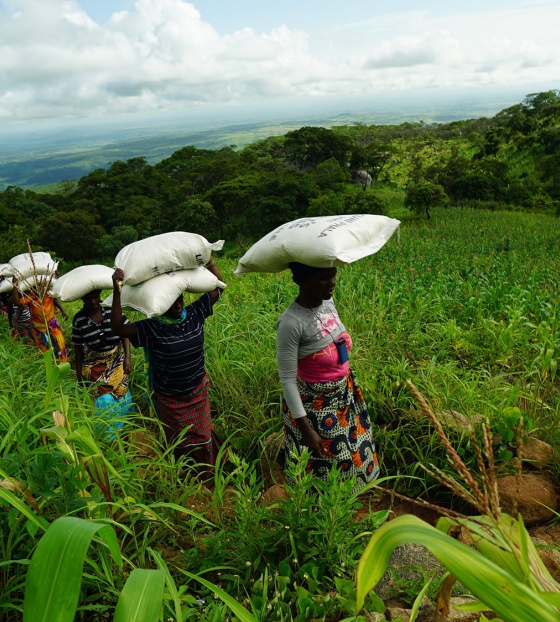 Women volunteers transporting food in Malawi