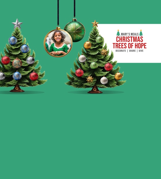 Image of Christmas trees of hope