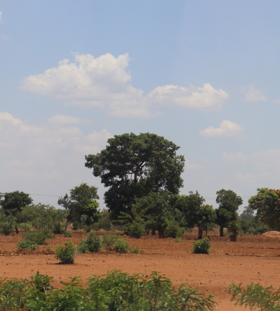 Drought in Zambia