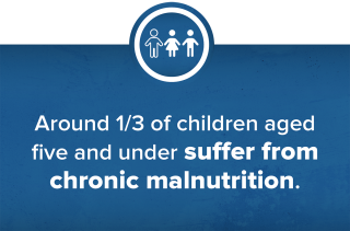 One third of children suffer from chronic malnutrition