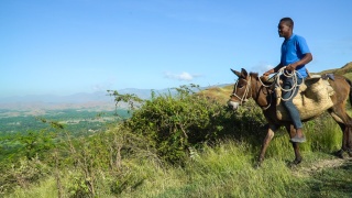 A man in Haiti rides a donkey up a hill