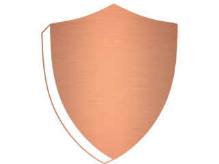 Bronze award