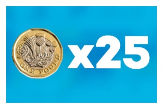 Image of a pound coin X25