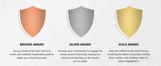 Image of bronze, silver and gold crests from the Mary's Meals school awards